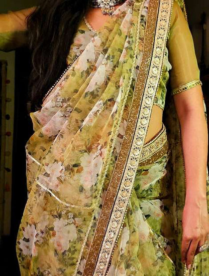 Pickle organza gota saree